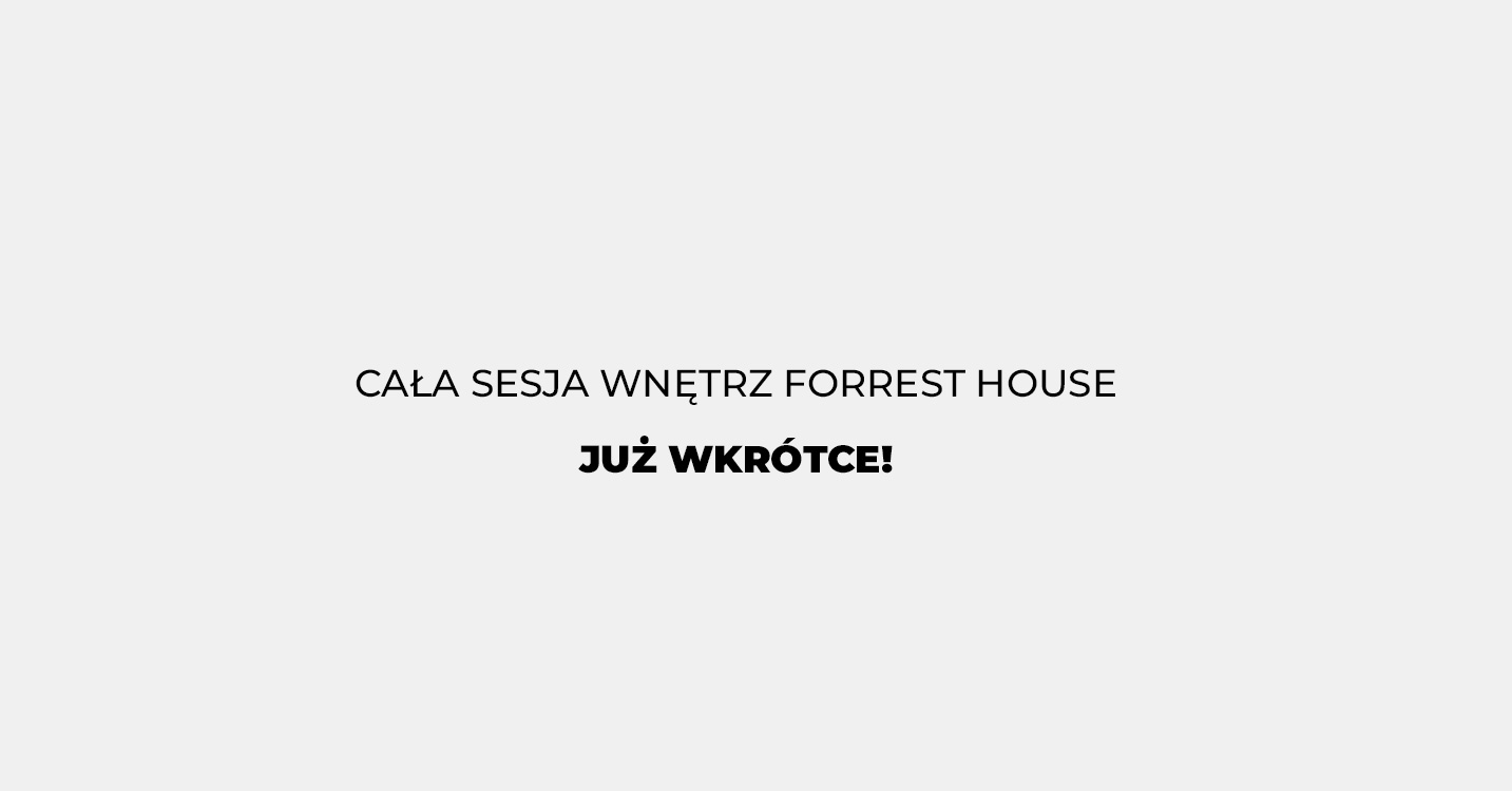 Forrest House / Wrocław 300m2